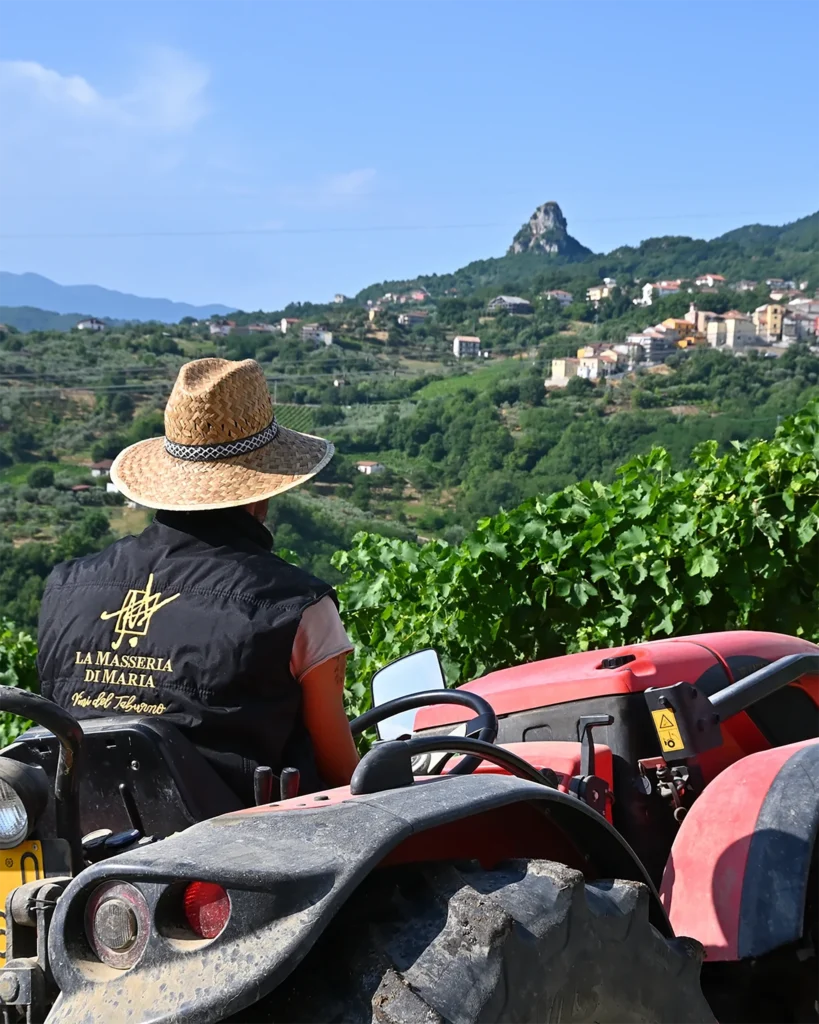 Video aziendale La Masseria Di Maria