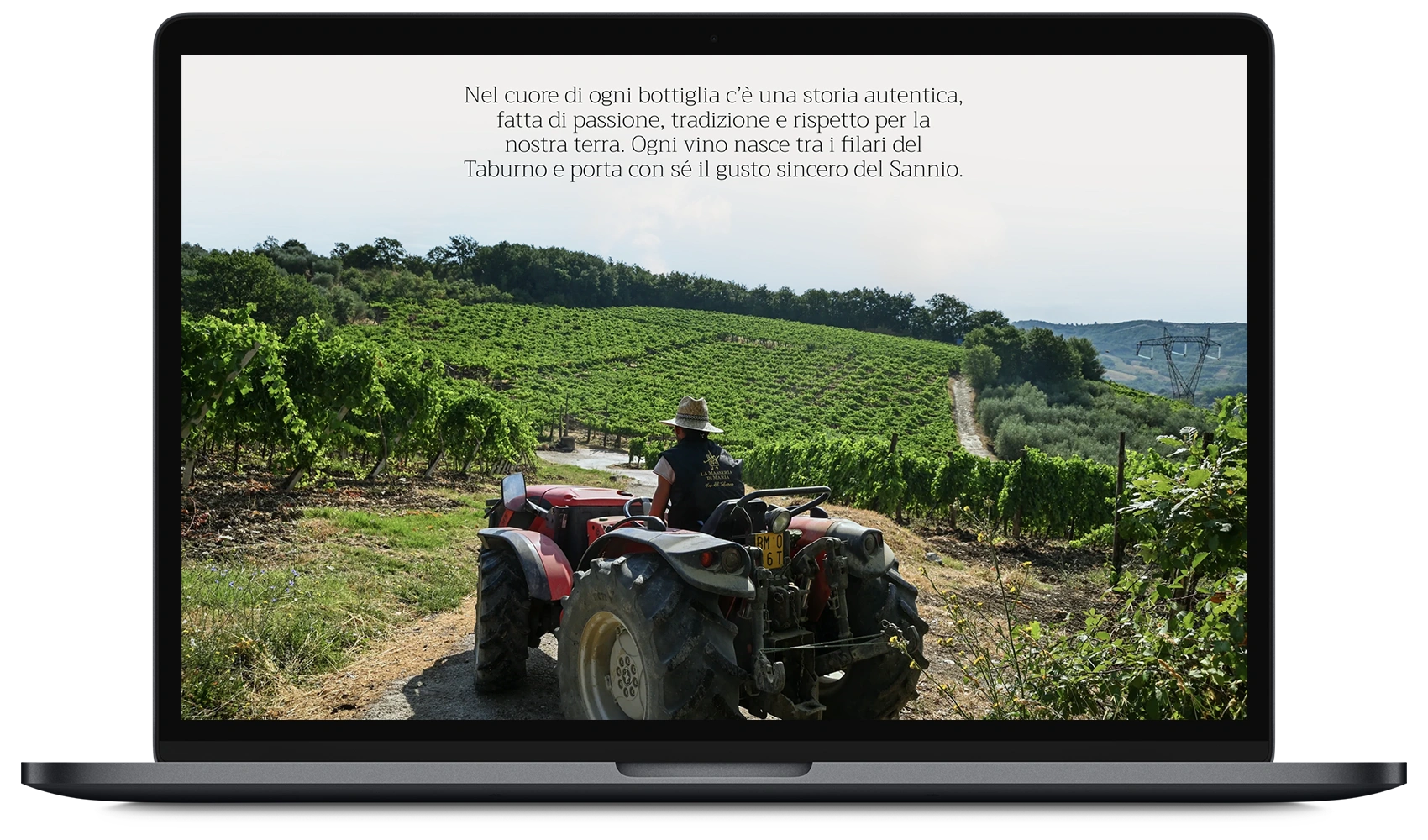 E-commerce Shopify cantina Masseria Di Maria