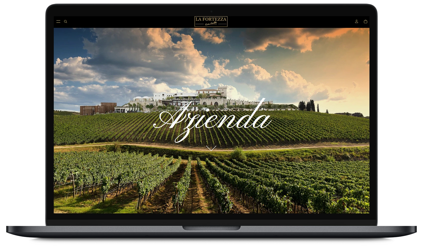 Sito web shopify Vini la Fortezza